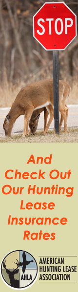 affiliate banner