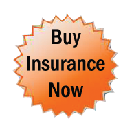 buy insurance now